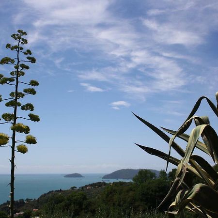 Agave Di Lerici Villa Ngoại thất bức ảnh