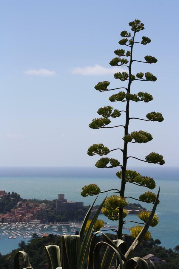 Agave Di Lerici Villa Ngoại thất bức ảnh
